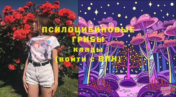 mdpv Алзамай