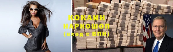 индика Алексин