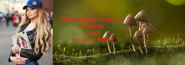 mdpv Алзамай