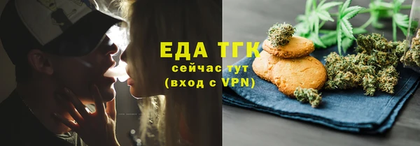 индика Алексин