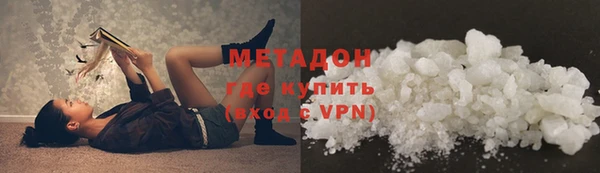 индика Алексин