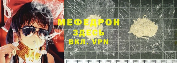 индика Алексин