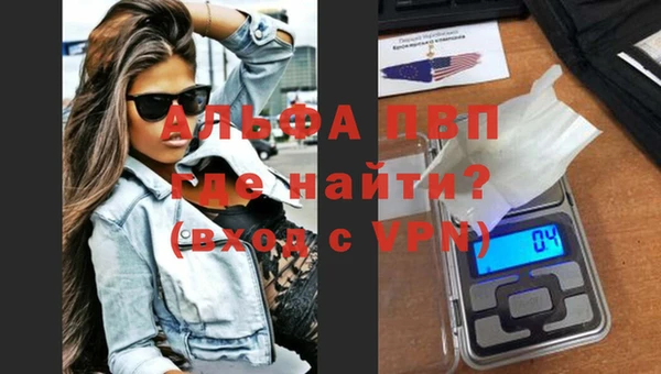 индика Алексин