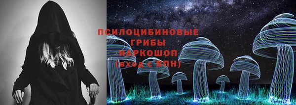 индика Алексин