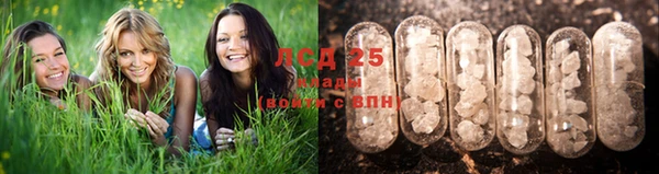 индика Алексин