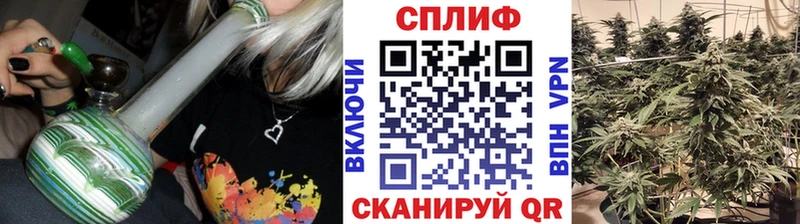 mega как зайти  Черноголовка  МАРИХУАНА план  хочу  